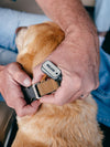 Folds of Honor Military Dog ID Tag
