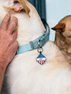 Folds of Honor Diamond Dog ID Tag