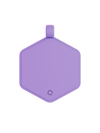 Violet Glow Classic Hex Dog ID Tag